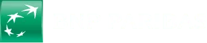 bnp bnp